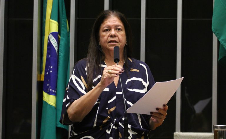Laura Carneiro, relatora do projeto de lei. Foto: Vinicius Loures/Câmara dos Deputados