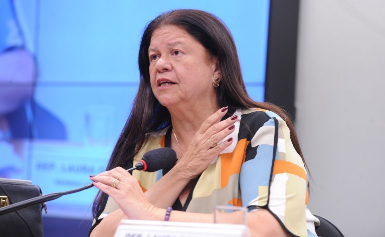 Laura Carneiro, autora da proposta. Foto: Renato Araújo / Câmara dos Deputados